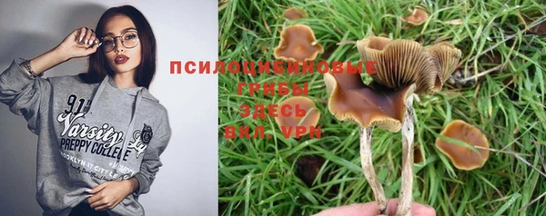 скорость Алзамай
