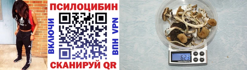 Псилоцибиновые грибы MAGIC MUSHROOMS  купить   это Telegram  Навашино  мега вход 